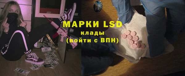 ПСИЛОЦИБИНОВЫЕ ГРИБЫ Баксан